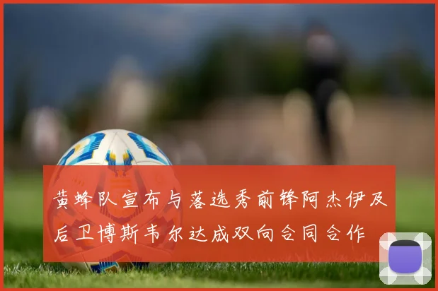 黄蜂队宣布与落选秀前锋阿杰伊及后卫博斯韦尔达成双向合同合作